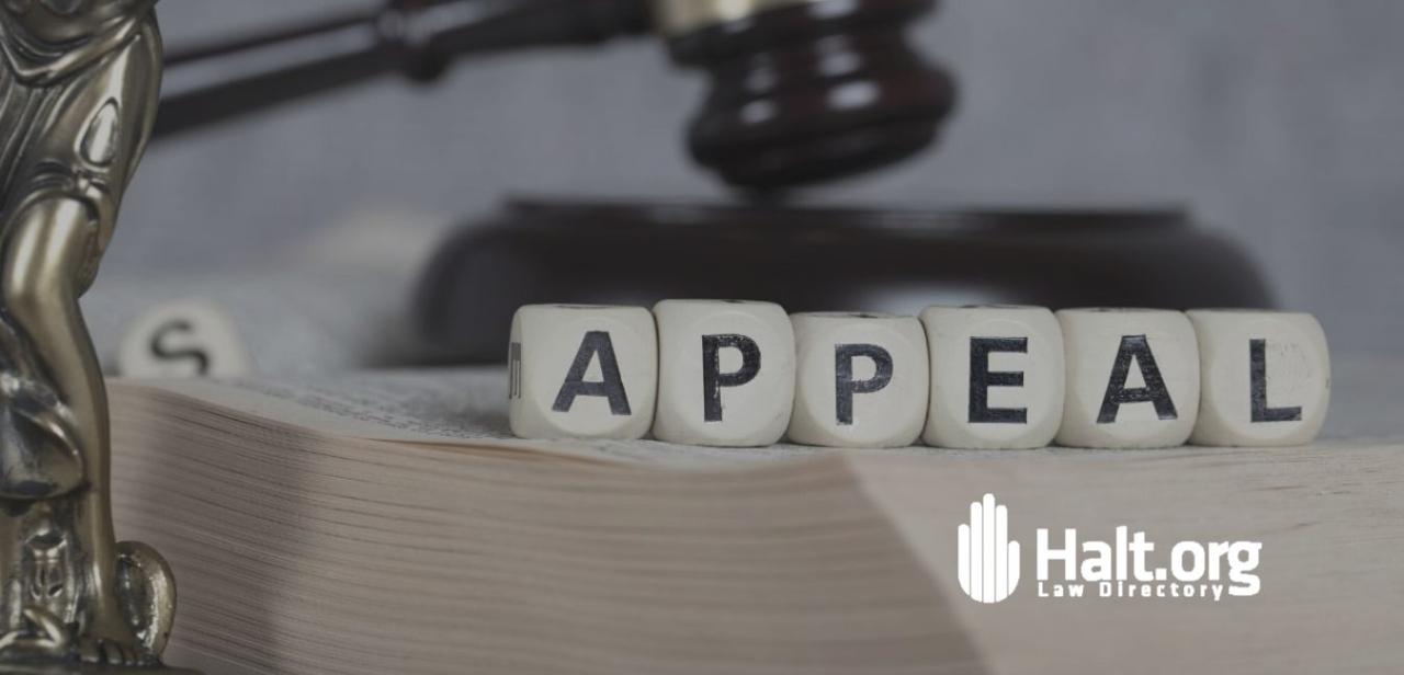 How To Appeal A Court Decision In A Case