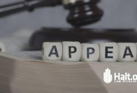 How Can I Appeal A Court Decision In My Case