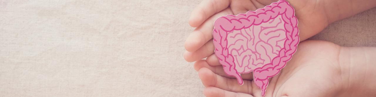 9 Daily Habits to Improve Gut Health Naturally - Nevermore Lane