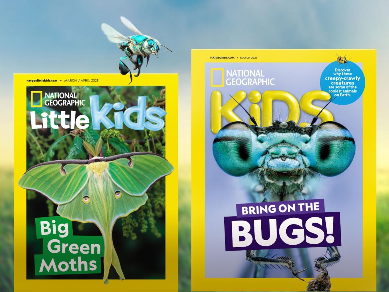 Scientists are uncovering surprising connections between diet and ... What Are The Connections Between Diet And Mental Health